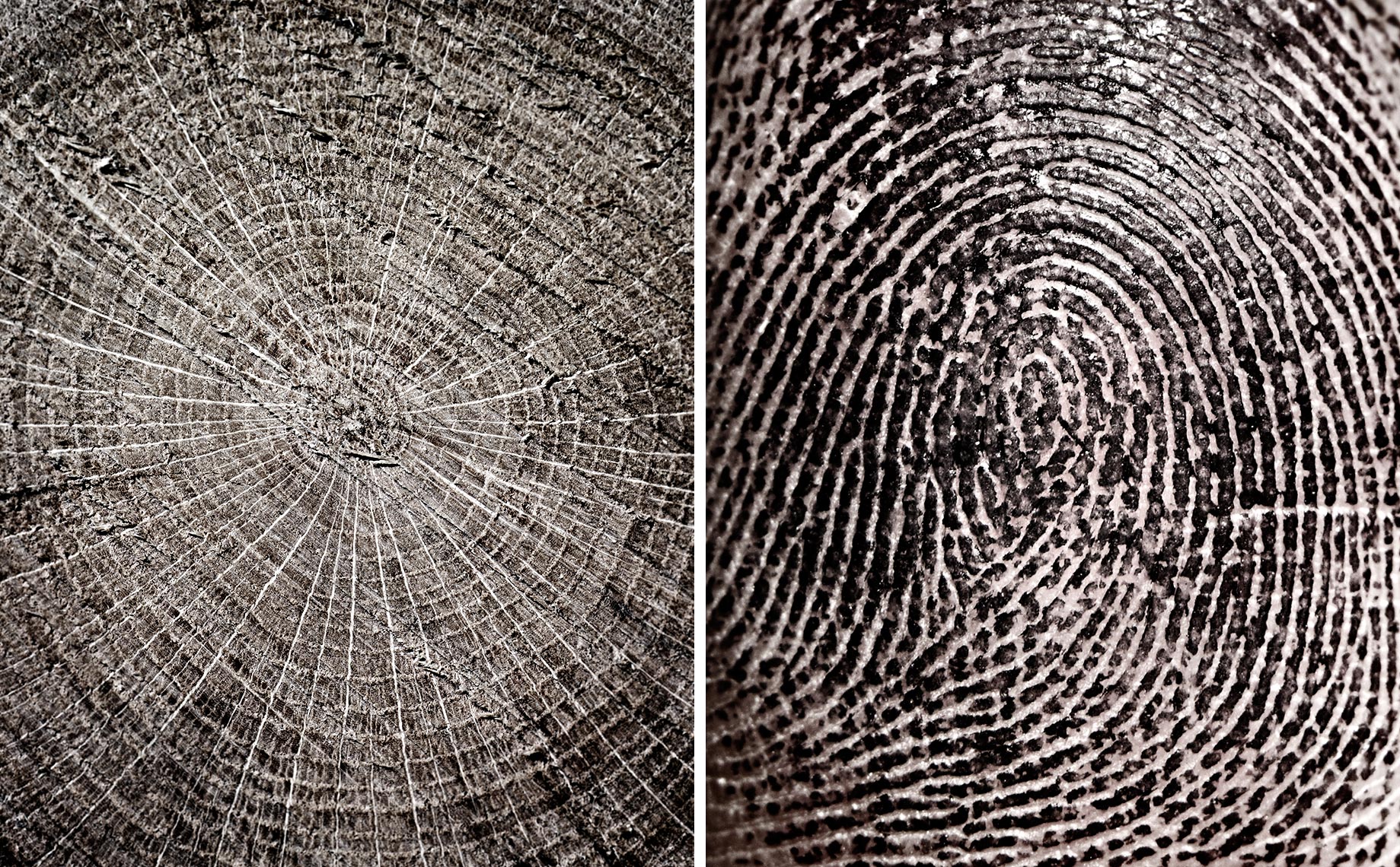 wood-fingerprint.jpg